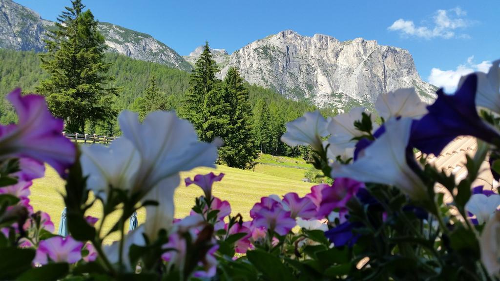 Chalet Alla Cascata * Badia (South Tyrol)